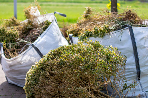 Basement Cleanout Services in Emerald Lake Hills, CA